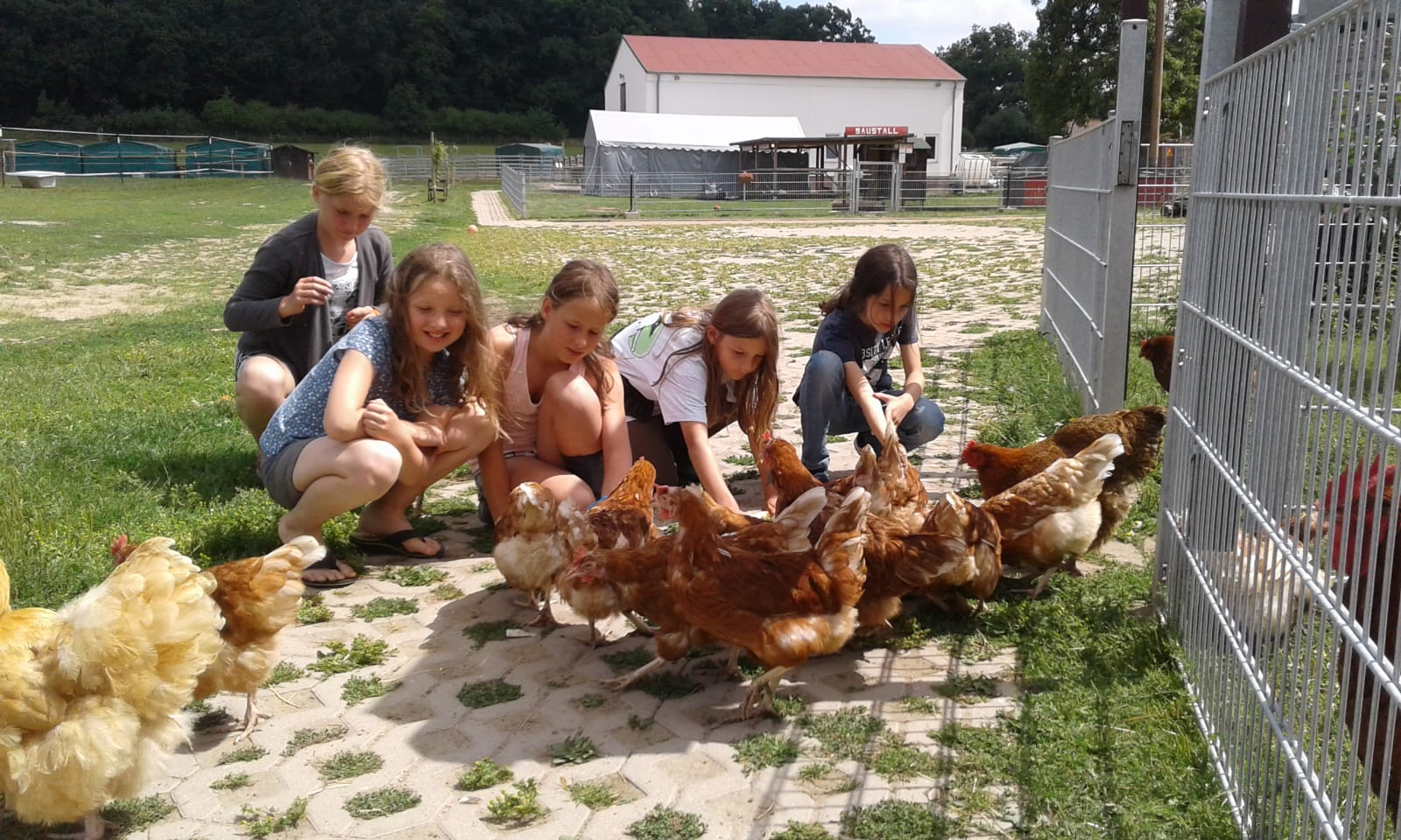 Lottihof F R Kinder Und Tiere E V F Rderprogramme Haus Des Stiftens