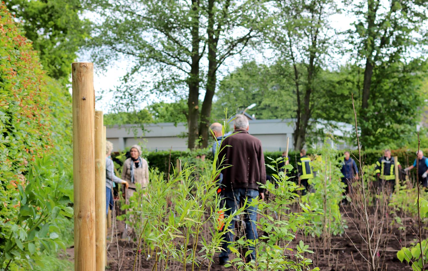 Aufforsten Gegen Den Klimawandel - Förderprogramme | Haus Des Stiftens